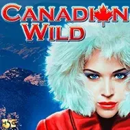 Canadian WildHighfive game icon